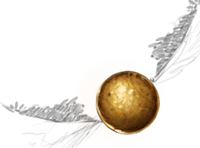 picture of the golden snitch